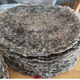 Bánh tráng mè